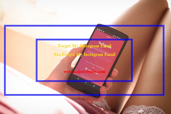 Forgot My Instagram Email
